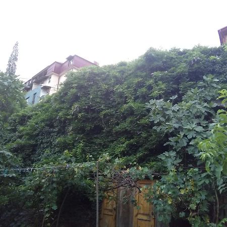 Apartment Marina Tbilisi ภายนอก รูปภาพ