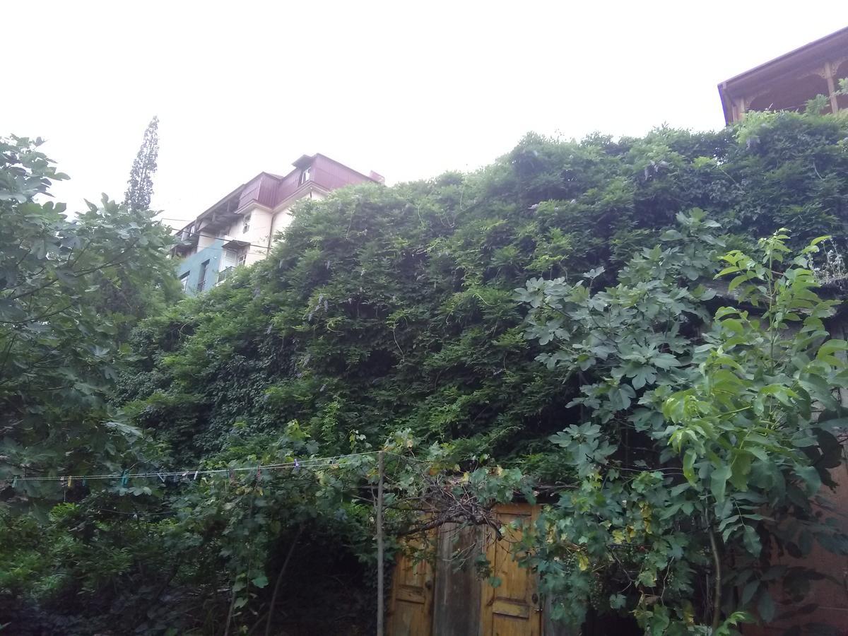 Apartment Marina Tbilisi ภายนอก รูปภาพ